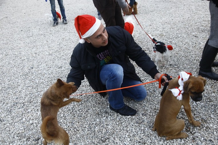 Fun Walk With Santa